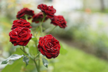 Similar image 6448853