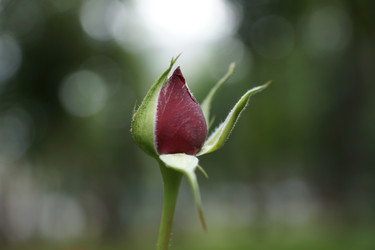 Similar image 6448854