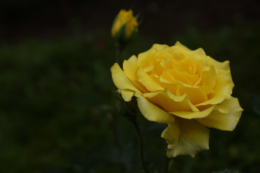 Similar image 6448855