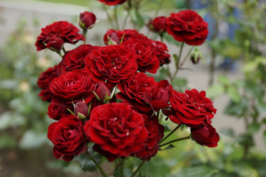 Similar image 6448858