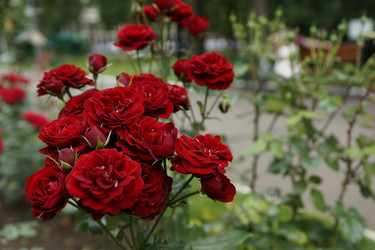 Similar image 6448859