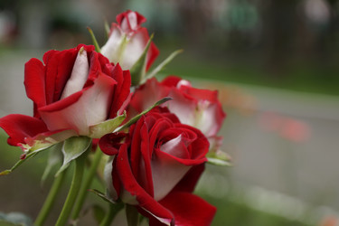 Similar image 6448862