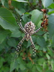 Similar image 6448864