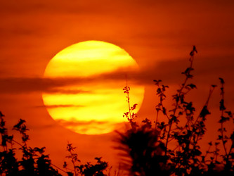 Similar image 6448923