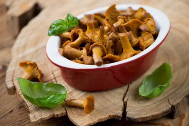 Similar image 6448985