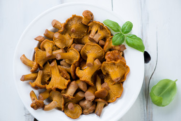 Similar image 6448992