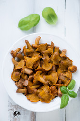 Similar image 6448993