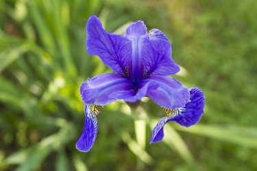 Similar image 6449004