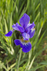 Similar image 6449005