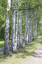 Similar image 6449010