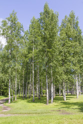 Similar image 6449011