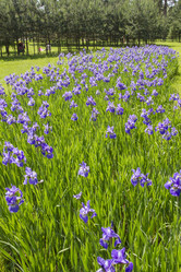 Similar image 6449013