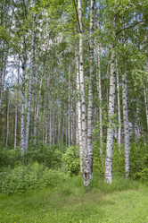 Similar image 6449023