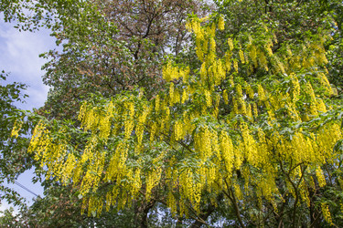 Similar image 6449033