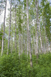 Similar image 6449034