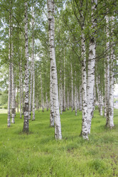 Similar image 6449035