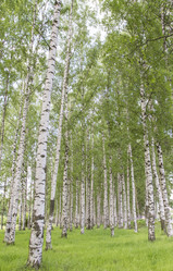 Similar image 6449037