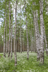 Similar image 6449039