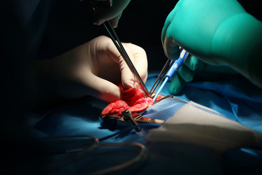 Similar image 6449211