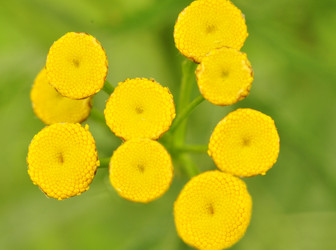 Similar image 6449653