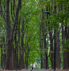 Similar image 6449663