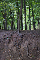 Similar image 6449664