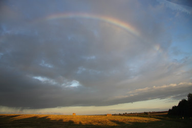 Similar image 6449683