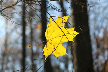 Similar image 6449684