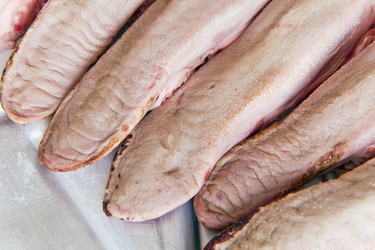 Similar image 6449847