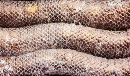 Similar image 6449872