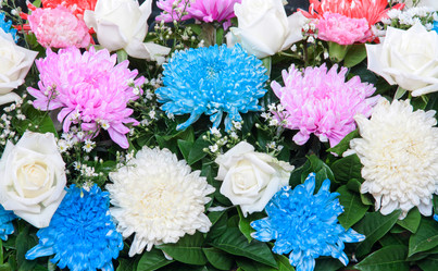 Similar image 6449874