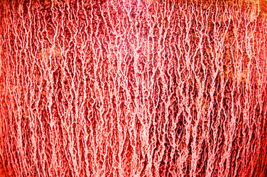 Similar image 6449875