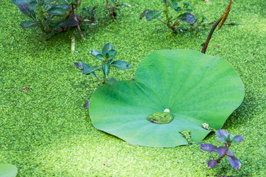 Similar image 6449878