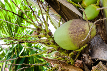 Similar image 6449880