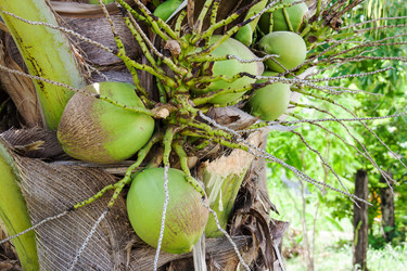 Similar image 6449881