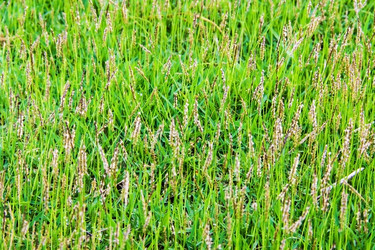 Similar image 6449882