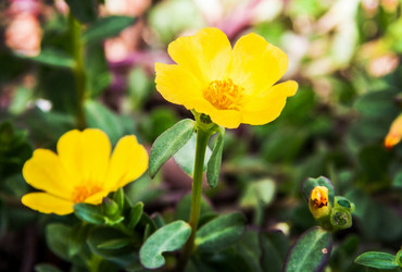 Similar image 6449887