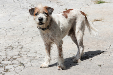 Similar image 6449888