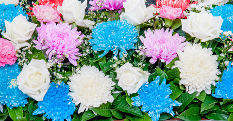 Similar image 6449892