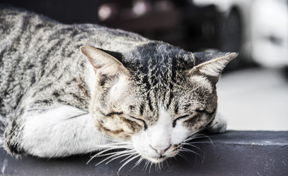 Similar image 6449894