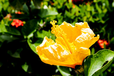 Similar image 6449897