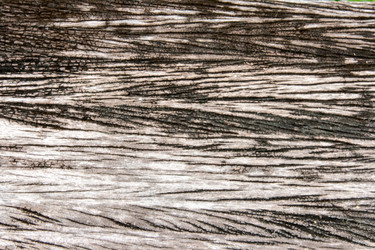 Similar image 6449902