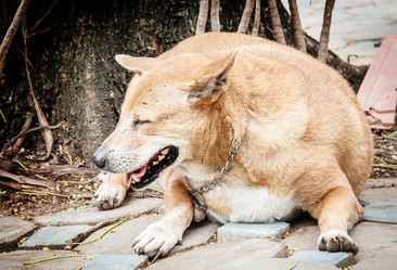 Similar image 6449905