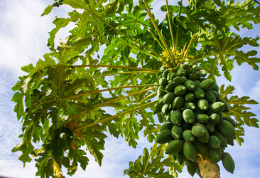 Similar image 6449913