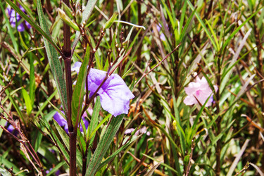 Similar image 6449914