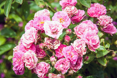 Similar image 6449915