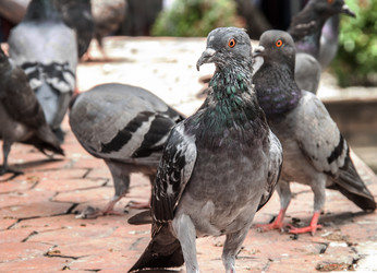 Similar image 6449916