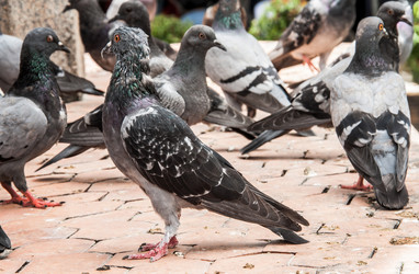 Similar image 6449917