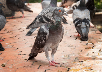 Similar image 6449919