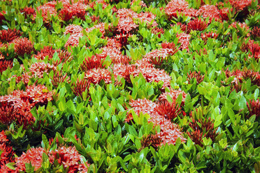 Similar image 6449922